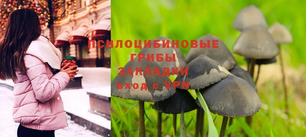 apvp Зеленодольск